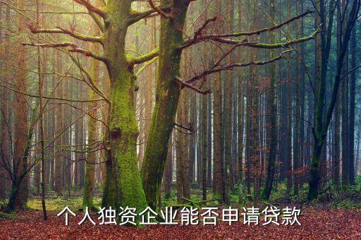 個(gè)人獨(dú)資企業(yè)能否申請貸款