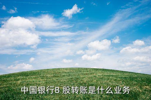中國銀行B 股轉(zhuǎn)賬是什么業(yè)務