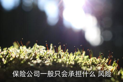  保險公司一般只會承擔(dān)什么 風(fēng)險
