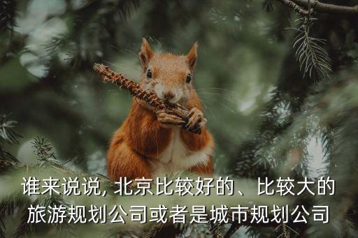 誰來說說, 北京比較好的、比較大的旅游規(guī)劃公司或者是城市規(guī)劃公司