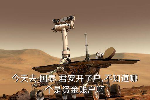 今天去 國(guó)泰 君安開了戶,不知道哪個(gè)是資金賬戶啊