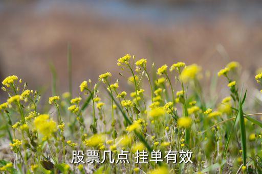股票開(kāi)市前多久可以掛單