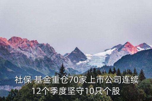 社?；鸪止汕闆r,2023年社保基金持股