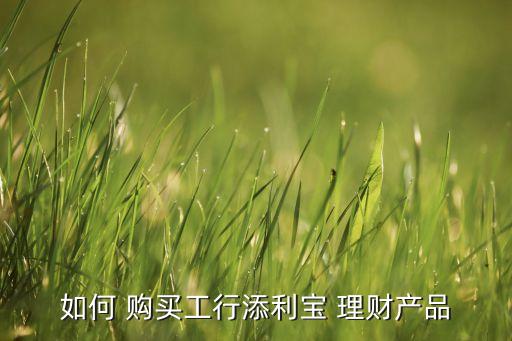 如何 購(gòu)買(mǎi)工行添利寶 理財(cái)產(chǎn)品