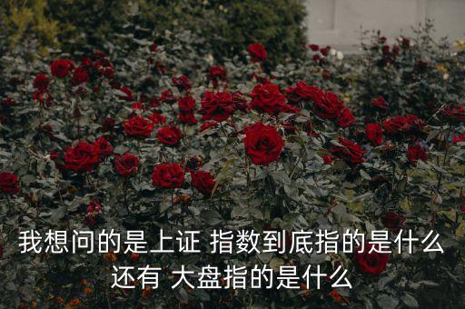 上海股票市場(chǎng)大盤指數(shù),股票市場(chǎng)大盤指數(shù)一般是指在證券市場(chǎng)中嗎