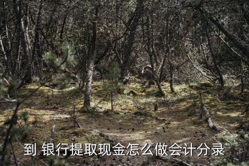 到 銀行提取現(xiàn)金怎么做會計(jì)分錄