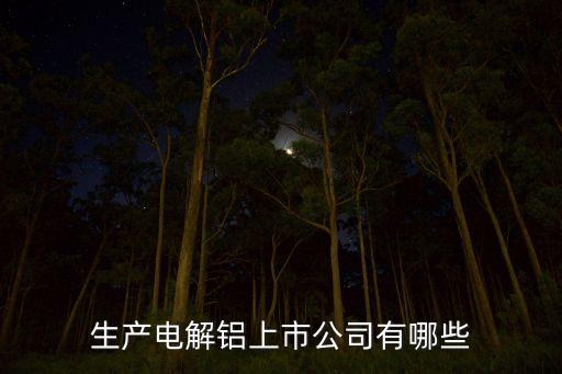 生產電解鋁上市公司有哪些