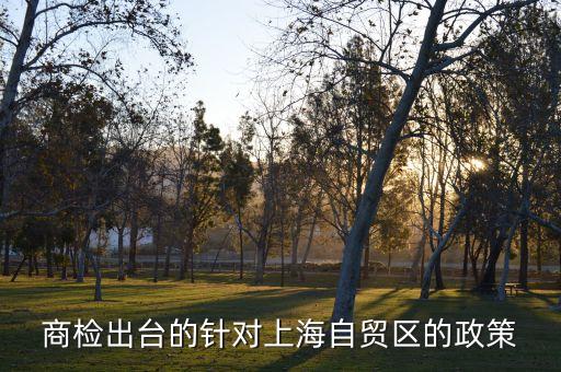 商檢出臺(tái)的針對上海自貿(mào)區(qū)的政策
