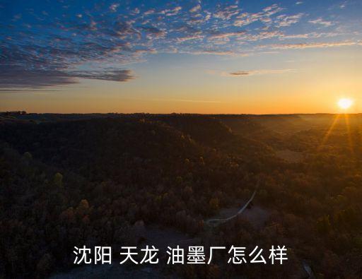 杭州天龍油墨有限公司,天龍油墨有限公司董事長(zhǎng)