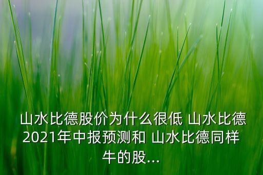  山水比德股價(jià)為什么很低 山水比德2021年中報(bào)預(yù)測和 山水比德同樣牛的股...