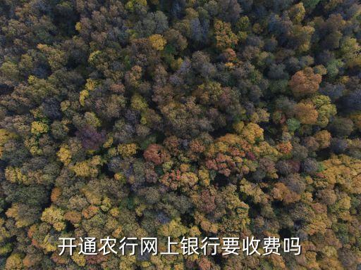 農業(yè)銀行網銀要年費嗎