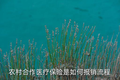 農村合作醫(yī)療保險是如何報銷流程