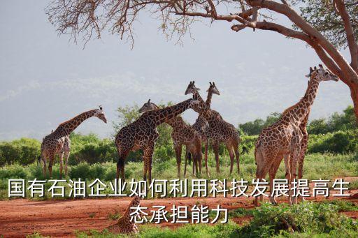 國有石油企業(yè)如何利用科技發(fā)展提高生態(tài)承擔能力