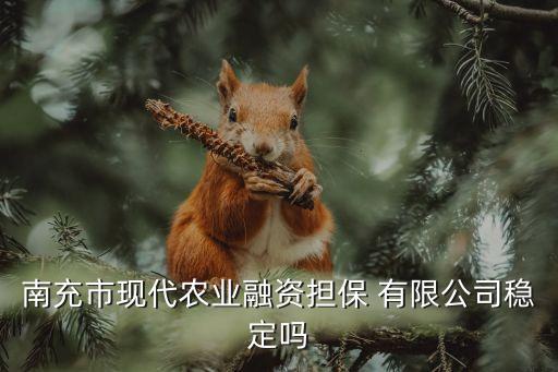 南充市現(xiàn)代農業(yè)融資擔保 有限公司穩(wěn)定嗎