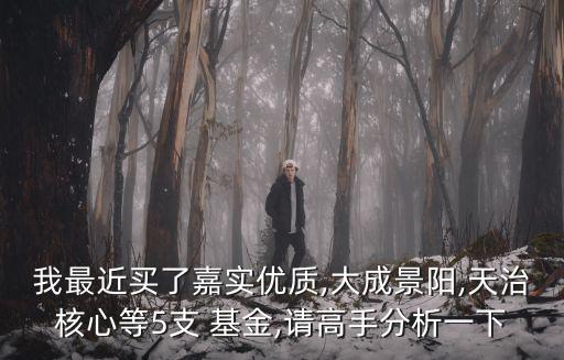 我最近買了嘉實(shí)優(yōu)質(zhì),大成景陽,天治核心等5支 基金,請(qǐng)高手分析一下