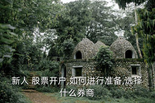 新人 股票開(kāi)戶,如何進(jìn)行準(zhǔn)備,選擇什么券商