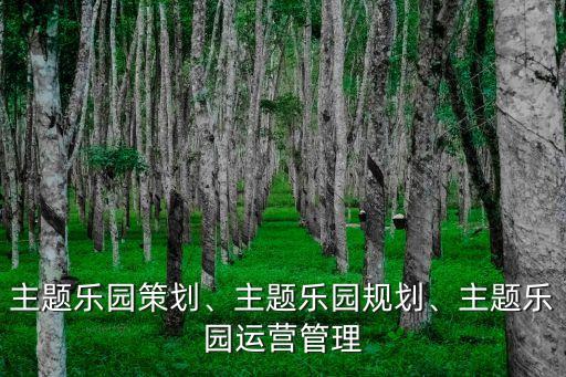 主題樂園策劃、主題樂園規(guī)劃、主題樂園運營管理