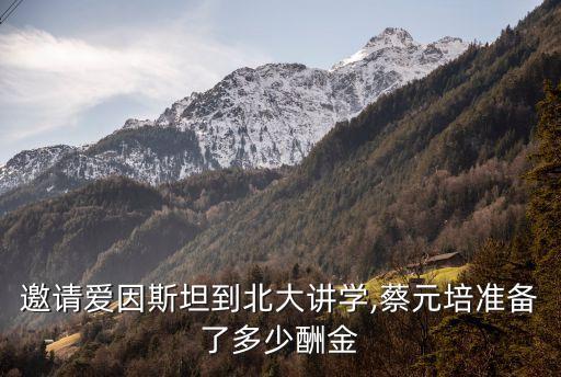 邀請愛因斯坦到北大講學,蔡元培準備了多少酬金