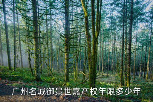 廣州名城御景世嘉產(chǎn)權年限多少年
