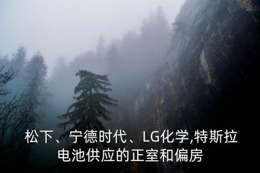  松下、寧德時(shí)代、LG化學(xué),特斯拉電池供應(yīng)的正室和偏房
