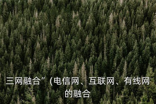 三網(wǎng)融合”(電信網(wǎng)、互聯(lián)網(wǎng)、有線網(wǎng)的融合