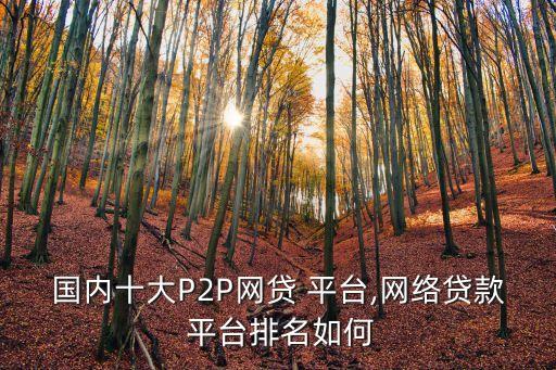 國內十大P2P網貸 平臺,網絡貸款 平臺排名如何