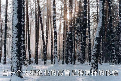 當(dāng)一個大型企業(yè)的高管是種怎樣的體驗(yàn)