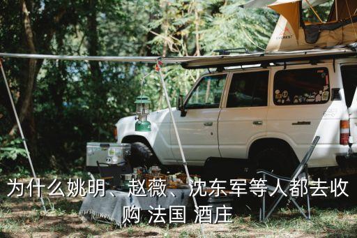為什么姚明、趙薇、沈東軍等人都去收購 法國 酒莊