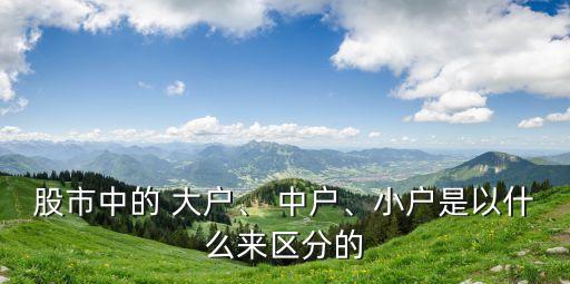 股市中的 大戶、 中戶、小戶是以什么來(lái)區(qū)分的