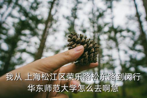 我從 上海松江區(qū)榮樂路松東路到閔行華東師范大學(xué)怎么去啊急