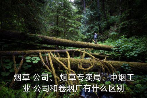  煙草 公司、 煙草專賣局、中煙工業(yè) 公司和卷煙廠有什么區(qū)別
