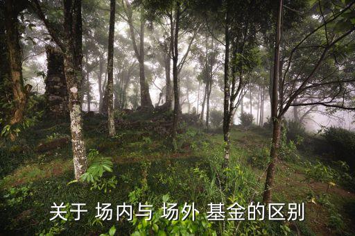 場外基金和場內基金,什么叫場外基金,什么叫場內基金