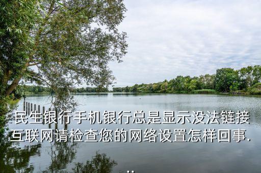  民生銀行手機(jī)銀行總是顯示沒(méi)法鏈接互聯(lián)網(wǎng)請(qǐng)檢查您的網(wǎng)絡(luò)設(shè)置怎樣回事...