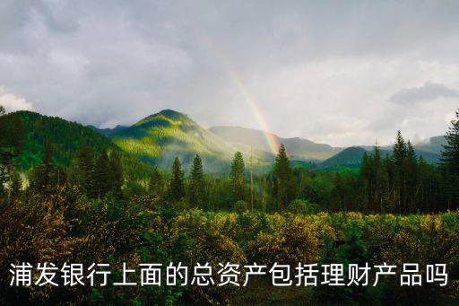 浦發(fā)銀行上面的總資產包括理財產品嗎