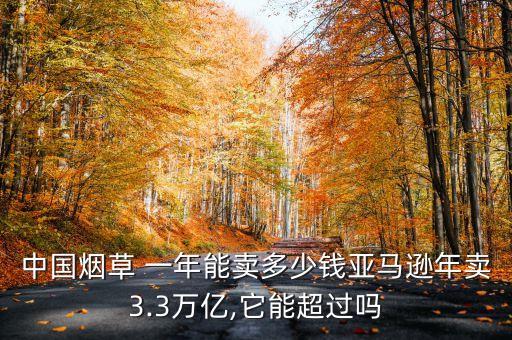 中國(guó)煙草 一年能賣(mài)多少錢(qián)亞馬遜年賣(mài)3.3萬(wàn)億,它能超過(guò)嗎
