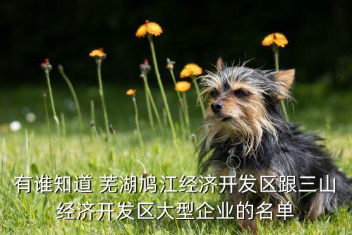 有誰(shuí)知道 蕪湖鳩江經(jīng)濟(jì)開(kāi)發(fā)區(qū)跟三山經(jīng)濟(jì)開(kāi)發(fā)區(qū)大型企業(yè)的名單
