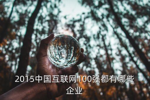 2015中國互聯(lián)網(wǎng)100強(qiáng)都有哪些企業(yè)