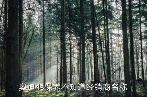 奧迪4s保養(yǎng)不知道經(jīng)銷(xiāo)商名稱(chēng)
