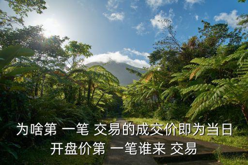 為啥第 一筆 交易的成交價(jià)即為當(dāng)日開盤價(jià)第 一筆誰(shuí)來(lái) 交易
