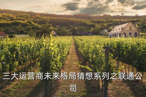 中國聯通如何發(fā)展