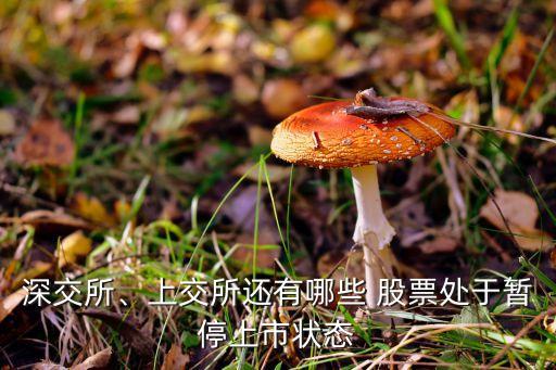 深交所、上交所還有哪些 股票處于暫停上市狀態(tài)
