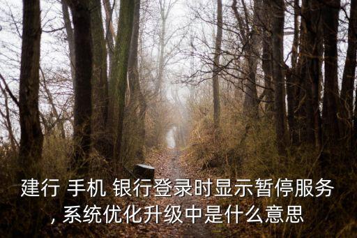 建行 手機 銀行登錄時顯示暫停服務, 系統(tǒng)優(yōu)化升級中是什么意思