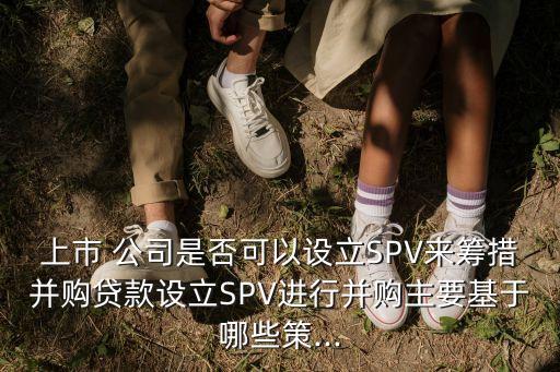 上市 公司是否可以設(shè)立SPV來籌措并購貸款設(shè)立SPV進行并購主要基于哪些策...
