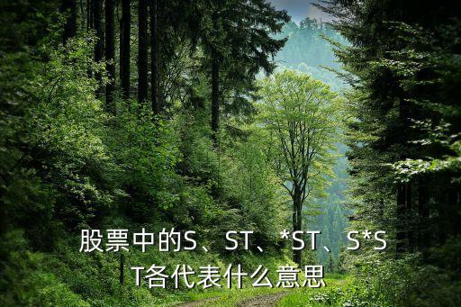  股票中的S、ST、*ST、S*ST各代表什么意思