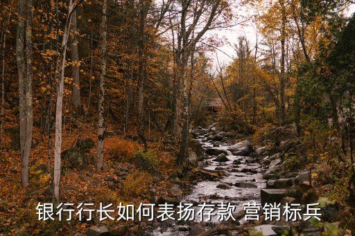 銀行營(yíng)銷獎(jiǎng)勵(lì)方案,2023年銀行開(kāi)門紅營(yíng)銷方案