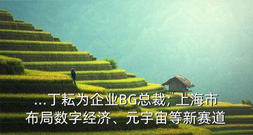 ...丁耘為企業(yè)BG總裁; 上海市布局數(shù)字經(jīng)濟、元宇宙等新賽道