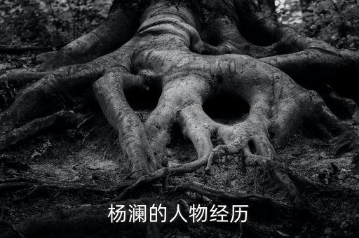 楊瀾的人物經歷