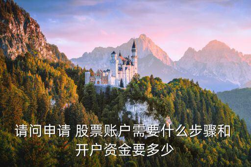 請(qǐng)問(wèn)申請(qǐng) 股票賬戶(hù)需要什么步驟和 開(kāi)戶(hù)資金要多少