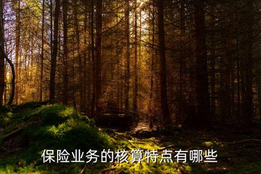保險業(yè)務的核算特點有哪些