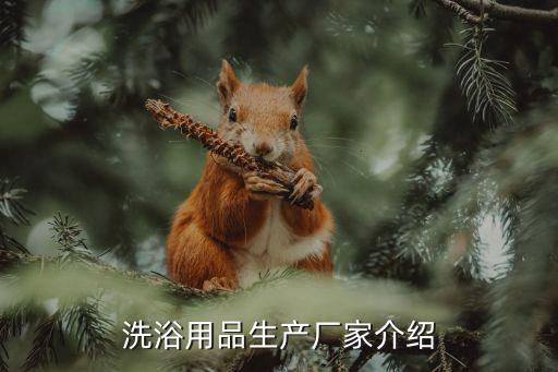 洗浴用品生產廠家介紹